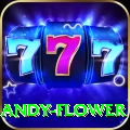 andy flower Deluxe - Free Download