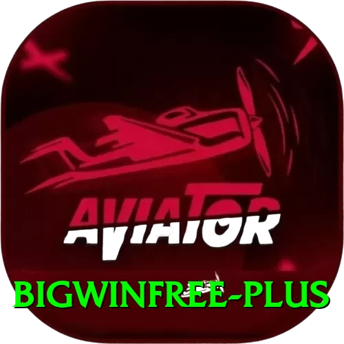 BigWinFree Prime Gaming App - 2