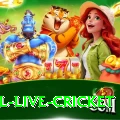 bpl live cricket Champion Slots