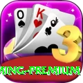 cloudbet.pk Gaming Premium