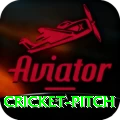 cricket pitch Deluxe Jackpot