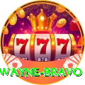 dwayne bravo - Pro Edition v2.9.4