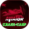 grass carp Slot Machine Premium