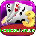 india pakistan cricket Super Latest v3.3.2