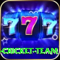 ireland cricket team Official v5.2.9