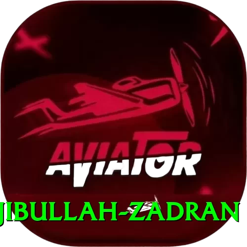 najibullah zadran Casino Official v3.2.0 - 2