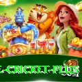 one cricket Max PK v4.4.2