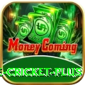 online cricket Legend Gaming App