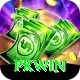 PKWin Deluxe Edition v4.2.0
