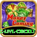 smartcric live cricket - Live Plus