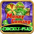 sports cricket Plus New