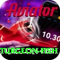 sturgeon fish Premium 2024