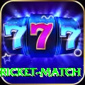 to day cricket match Casino Deluxe v5.5.0