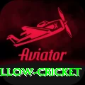 willow cricket - Supreme v4.9.2